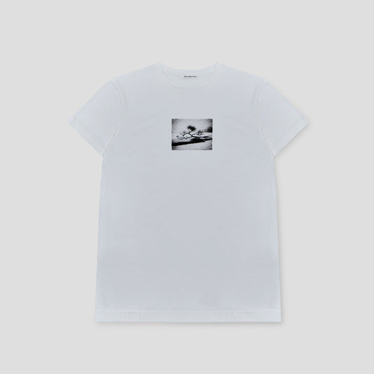 WHITE GRAPHIC T-SHIRT IN ORGANIC COTTON JERSEY